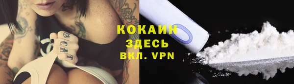 ECSTASY Покров