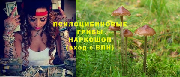 крисы Ахтубинск