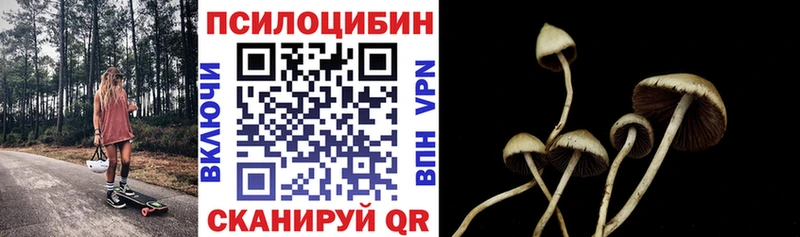 blacksprut как зайти  цены наркотик  Касли  Галлюциногенные грибы ЛСД 