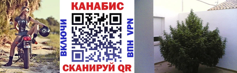 где продают наркотики  Касли  МАРИХУАНА гибрид 